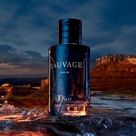 dior mens sauvage|sauvage dior best price.